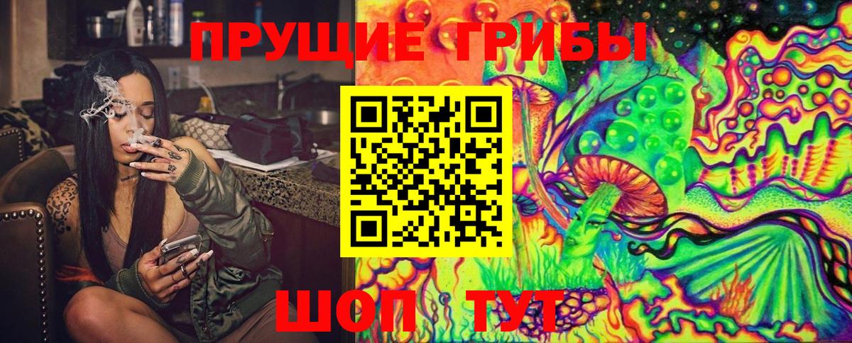 Галлюциногенные грибы Magic Shrooms Новороссийск