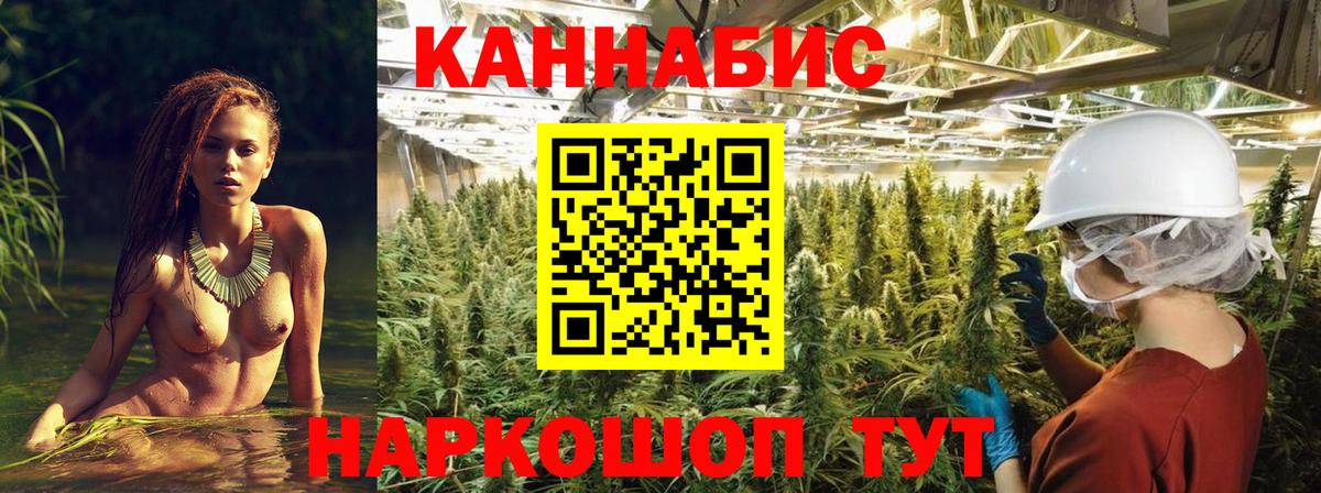Каннабис индика Новороссийск